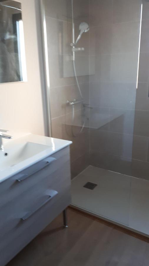 Mimosas Apartment Andernos-les-Bains Bagian luar foto