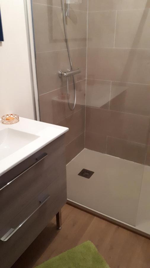Mimosas Apartment Andernos-les-Bains Bagian luar foto